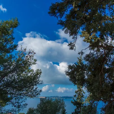 Ionian Vista *